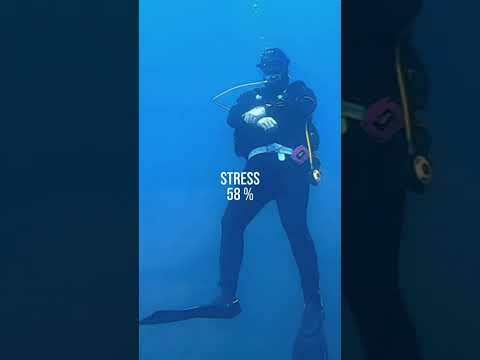 La plongée, réduction de stress