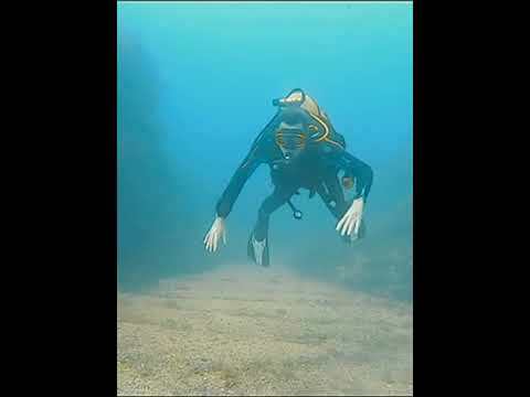 Une journée de plongée parfaite à Palamós