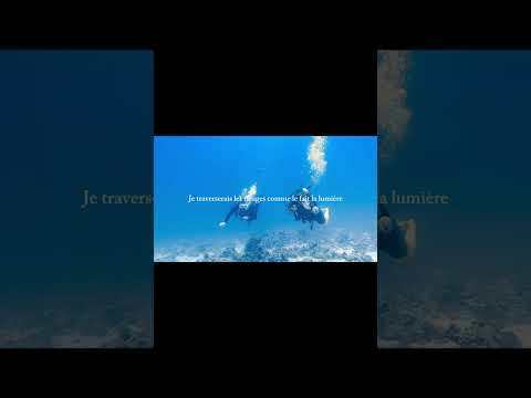 La magie des profondeurs 🌊🤿