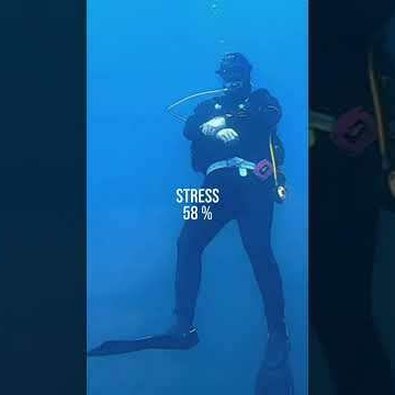 La plongée, réduction de stress